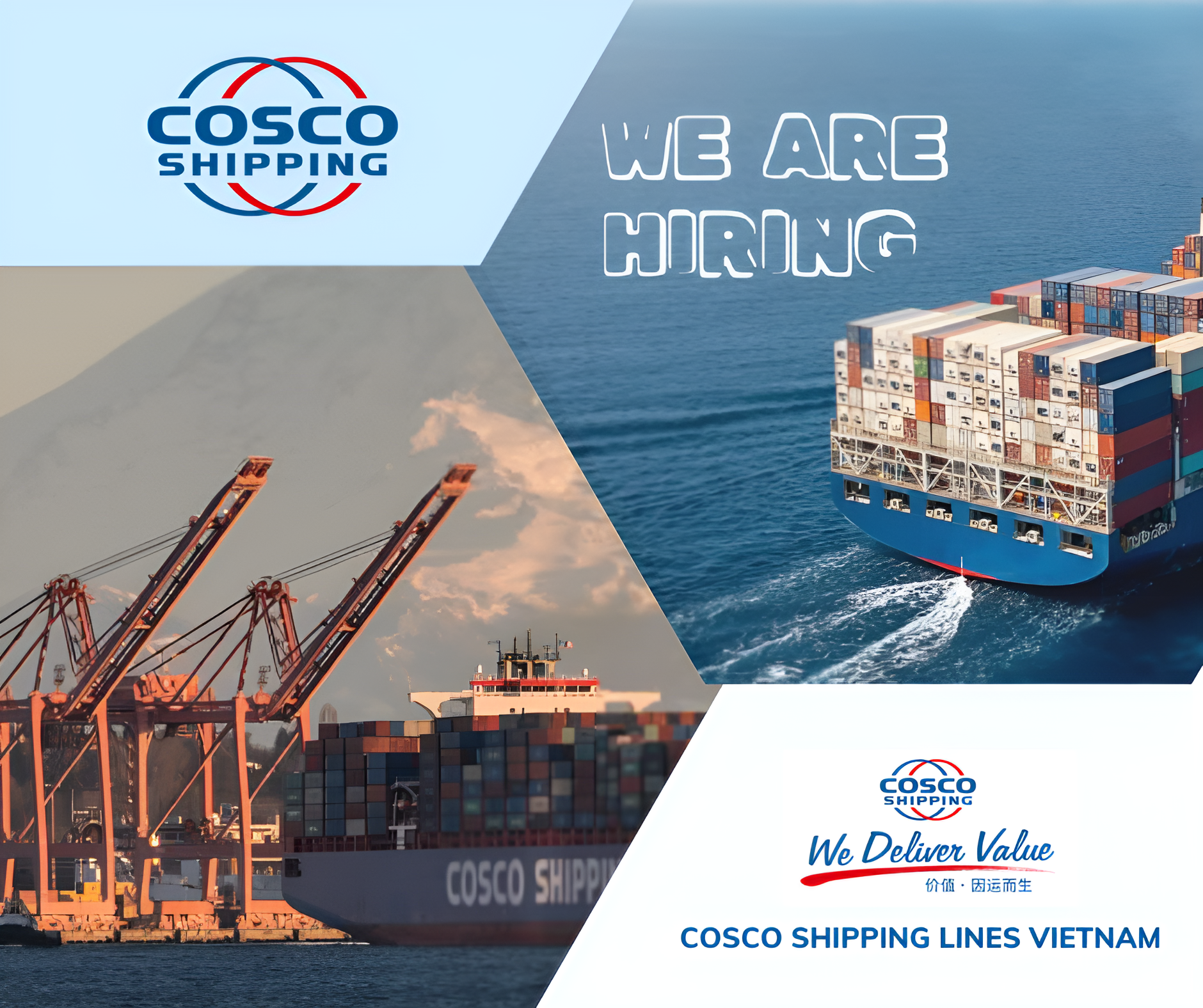 Công ty TNHH Cosco Shipping Lines (Việt Nam)